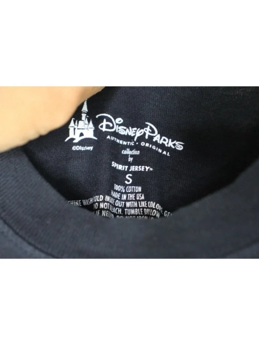 Disney parks spirit